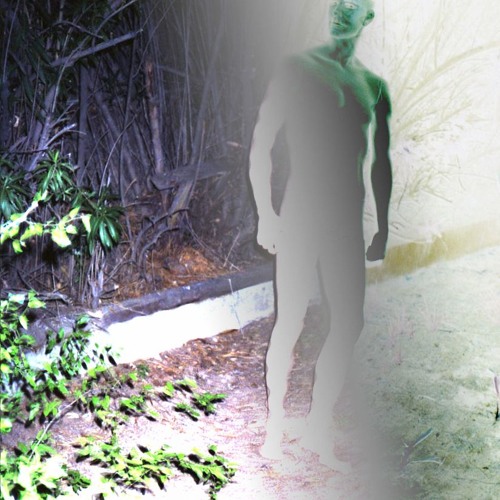 The Big Ship (Brian Eno)