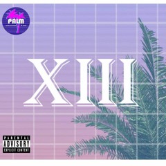 Palm of P A L M Vol. 13