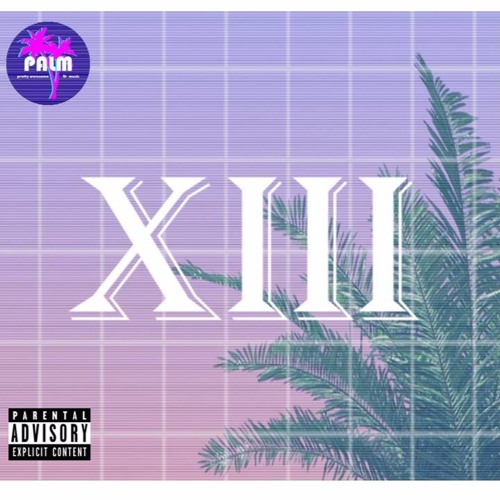 Palm of P A L M Vol. 13