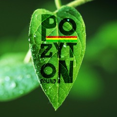 PozytON Sound - PozytONtriP (iLLBiLLY HiTEC - Rude Boy Talk Instrumental)