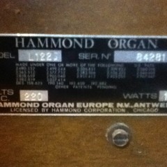 Vaporous Vamp / Sky Garden (There's a flying flock o' hybrid rhododendrons here) ~