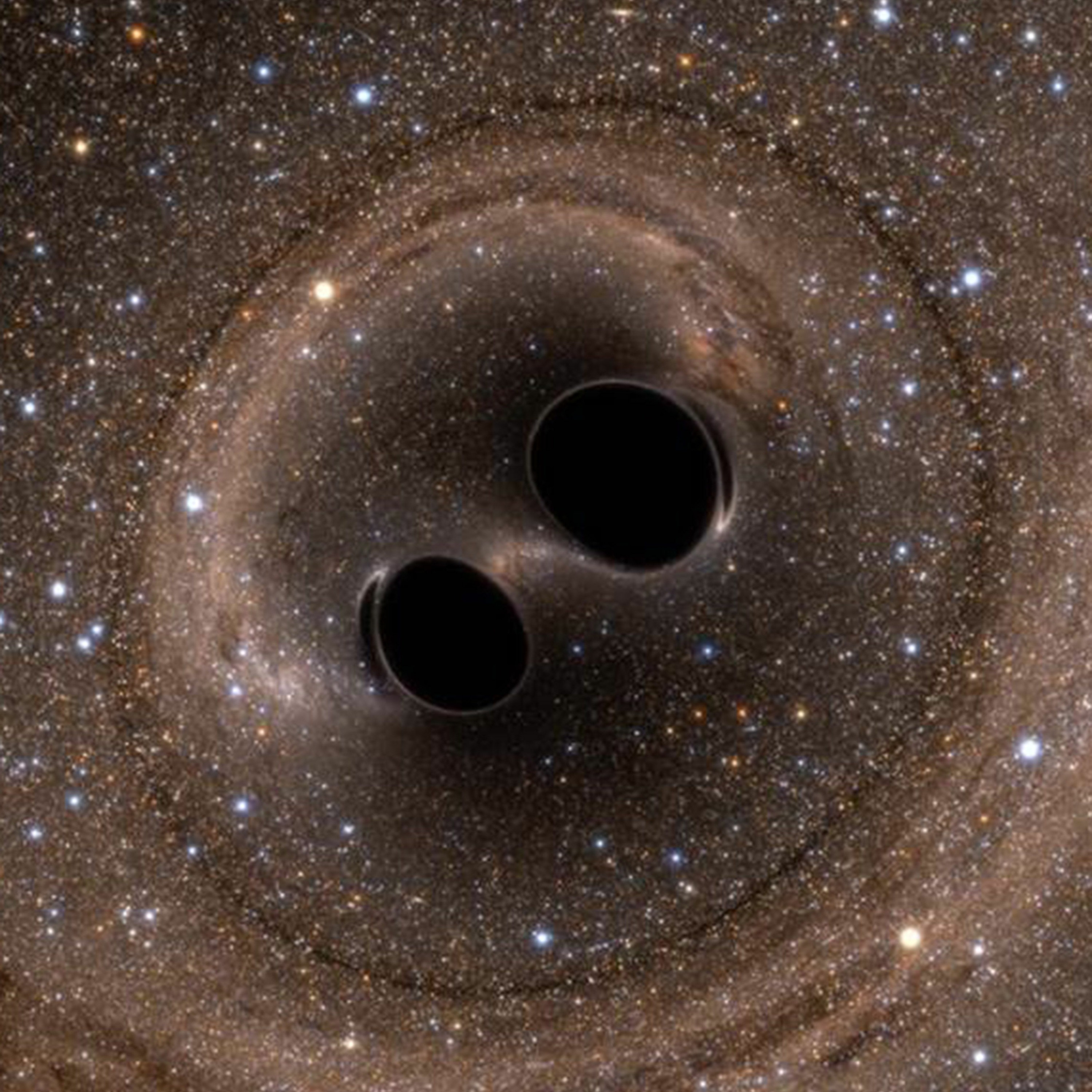 Sydney Ideas: LIGO, Gravitational Waves, and the Final Ballet of a Pair of Black Holes episode artwork