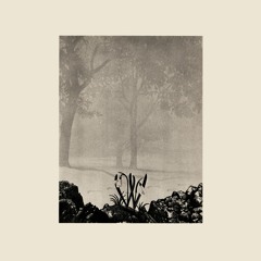 Sonja Tofik - Enter