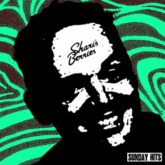 Bill Burr - Shari's Berries (SUNDAY HITS BOOTLEG)