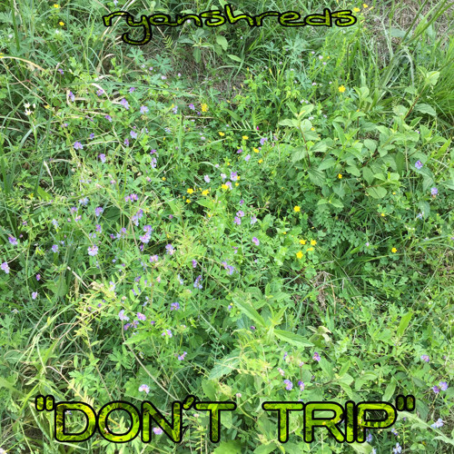 Don't Trip (Prod. by Urban Nerd)