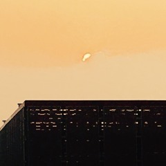 rawlite x goth fieri-champagne