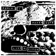 Paper-Cuts & DJ Camov @ Pitch Music & Arts 2017