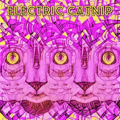 Electric Catnip