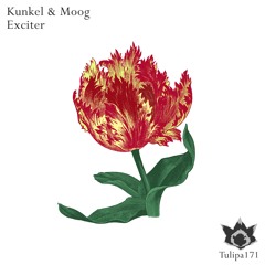 Kunkel & Moog: Exciter / Snippet