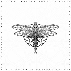 Sex Of Insects — Song Of Trees (Sid Le Rock Remix)