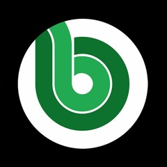 BITT115 - Mr. Bizz - Catch The Sound