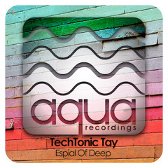 TechTonic Tay-What on Earth Am I Here For