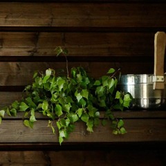 Bege - Sauna Feat. Niko Nova & Jona