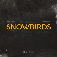 Snowbirds (Prod by Murda Beatz)