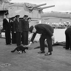 Unsinkable Sam