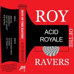 Roy Of The Ravers - Amergris 9