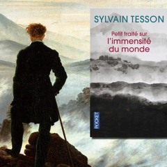 Sylvain Tesson – De la capacité d'émerveillement du marcheur