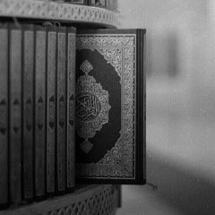 أَوْلَى لَكَ فَأَوْلَى | رعد الكردي