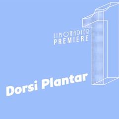 Limonadier Premiere - Dorsi Plantar - Fool's Gold