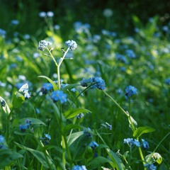 All of me - John Legend, version piano (Malo Maisonneuve cover)
