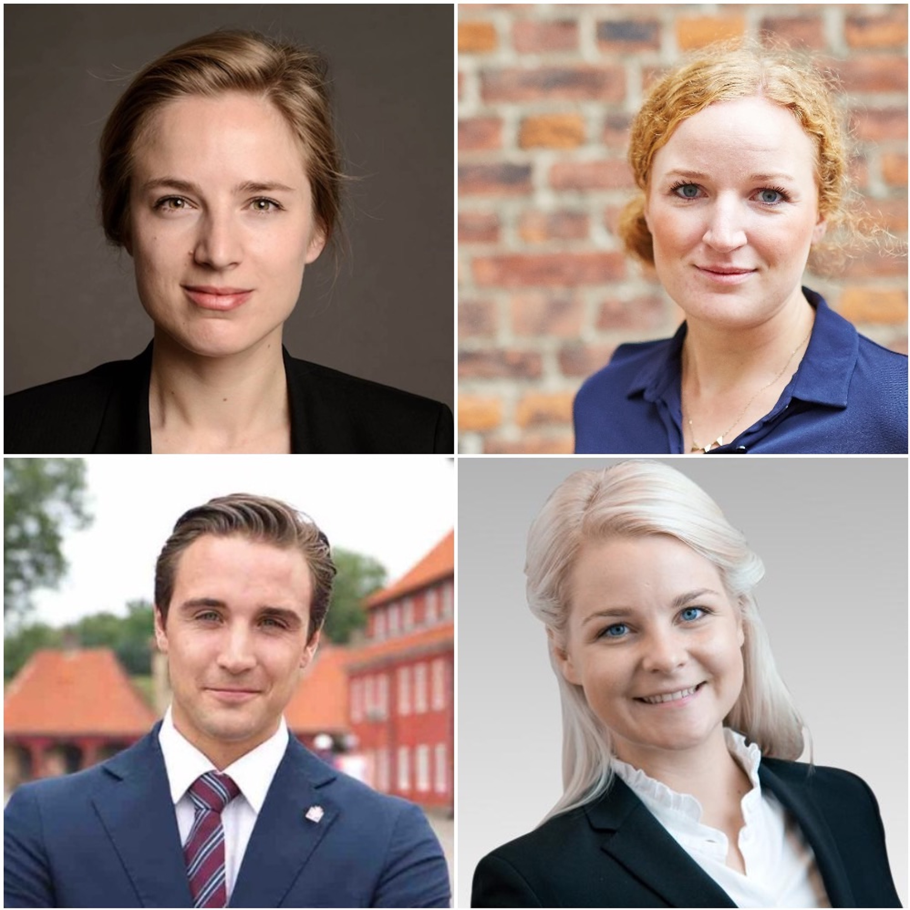 RÆSON - dansk og international politik