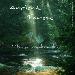 Libra Makowski - Ancient Forest