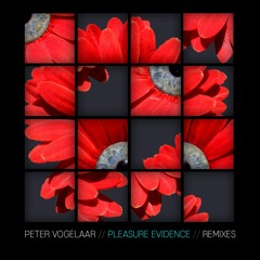 Pleasure Evidence (Get Down Edits Remix)
