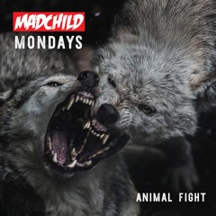 Animal Fight (Produced C-Lance)