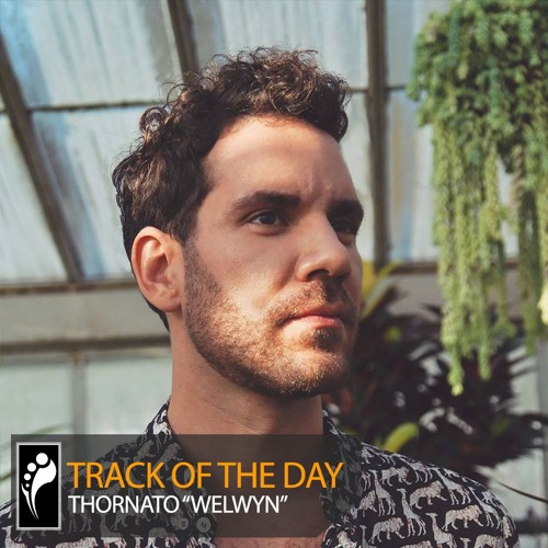 Track of the Day: Thornato ft. Harry Vanvagen “Welwyn”