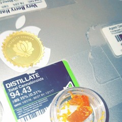 Stonersville (Prod. Nicky Nines)