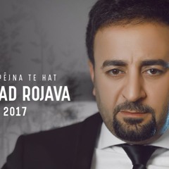 Dilshad Rojava Nema Pejna Te Hat 2017
