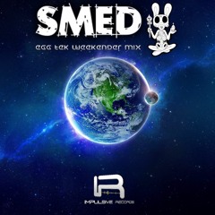 SMED - EGG TEK WEEKENDER GUEST MIX