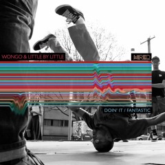 Wongo & Little By Little - Fantastic [Stoney Roads Premiere]