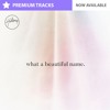 What A Beautiful Name It Is Gospel Version By Hillsong Worship Instrumental Multitrack Stems Mp3