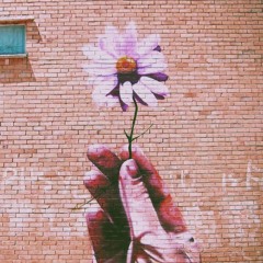 J MOTION - NEVER BEEN IN LOVE (FT.   SYSTEM) Prod. Just Blaze