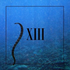 13 - sea snake