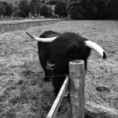 Everyone has troubles (demo)