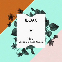 WOAK - Try (Kazoow & Helio Kiyoshi)