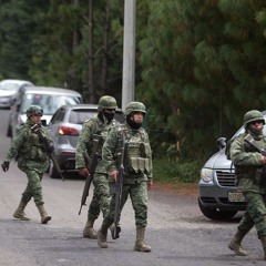 LEY DE SEGURIDAD INTEIROR