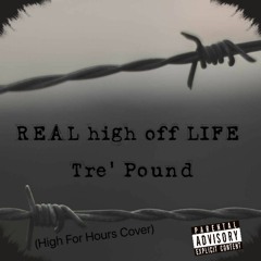 "REAL high off LIFE" (High For Hours Cover)