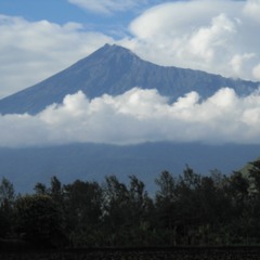 Soluble Mountains _7 - Instrumental