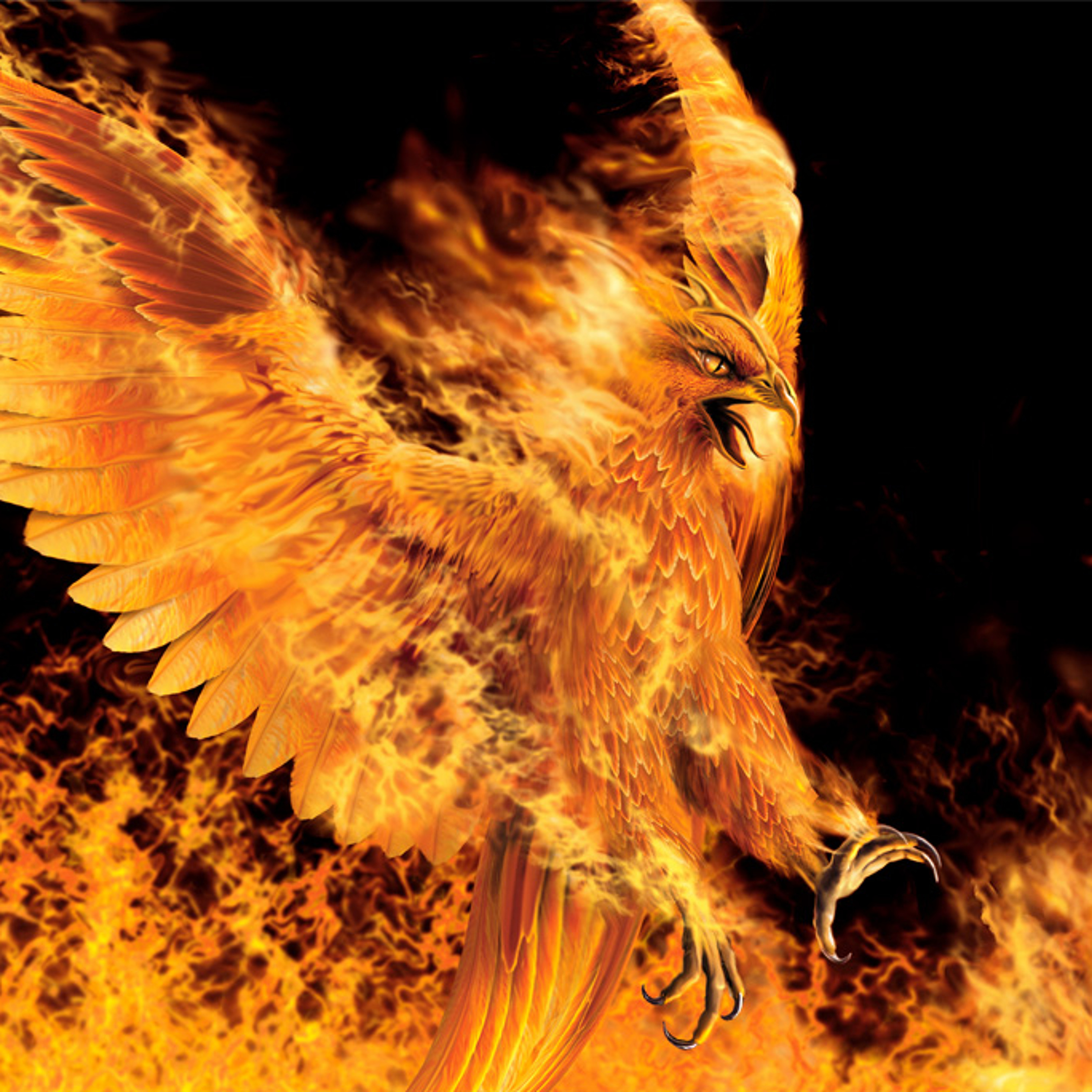 PHOENIX