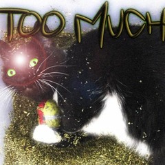 Too Much Catnip