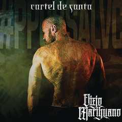 Somos Chidos (feat. Bicho Ramirez)