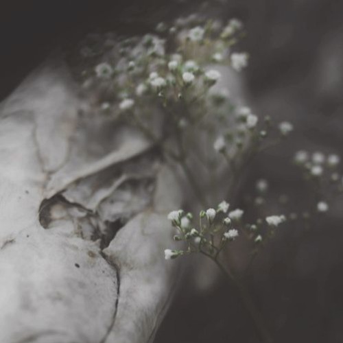 Half (prod. iamalex)