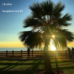Bungalow Soul #3