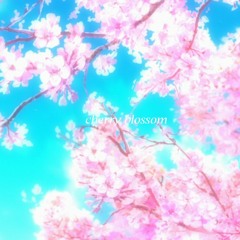 Cherry Blossom