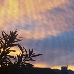 A Thief Of Beauty (lyrics by Daniel Gurrola, original acoustic)