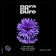 Nora En Pure - Come With Me x Diving With Whales x Lake Arrowhead (Trivi Nev Remix)