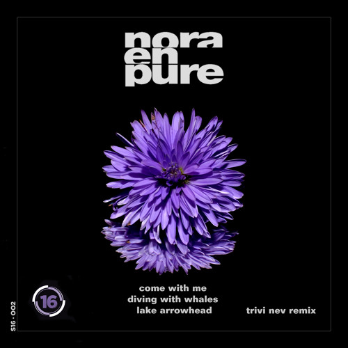 Nora En Pure - Come With Me x Diving With Whales x Lake Arrowhead (Trivi Nev Remix)
